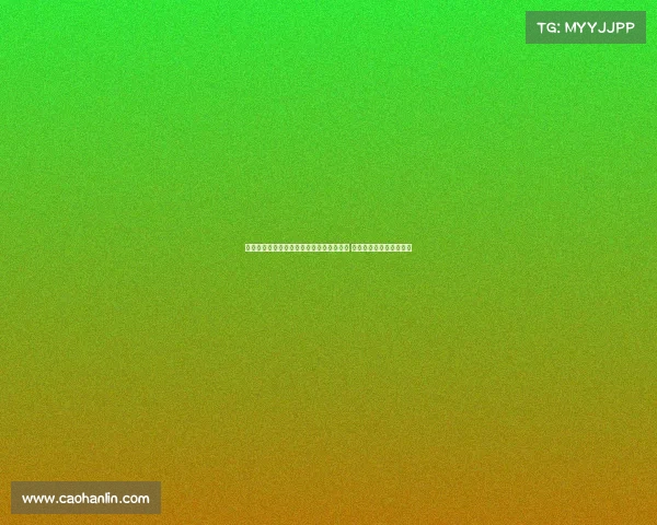 足协第十二届执委会第八次会议在北京召开 宋凯主持并发表重要讲话